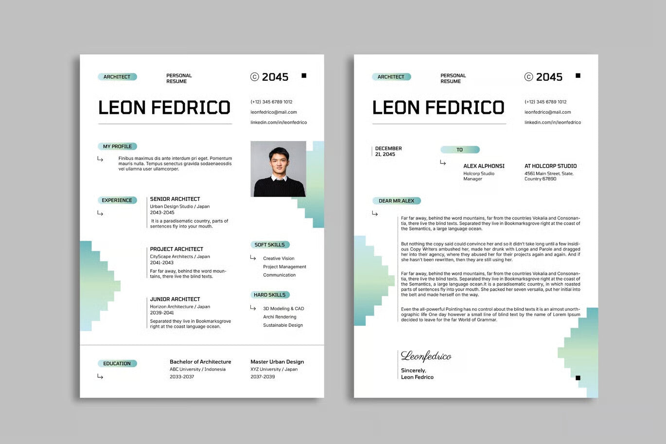 Modern Clean Professional CV Resume
