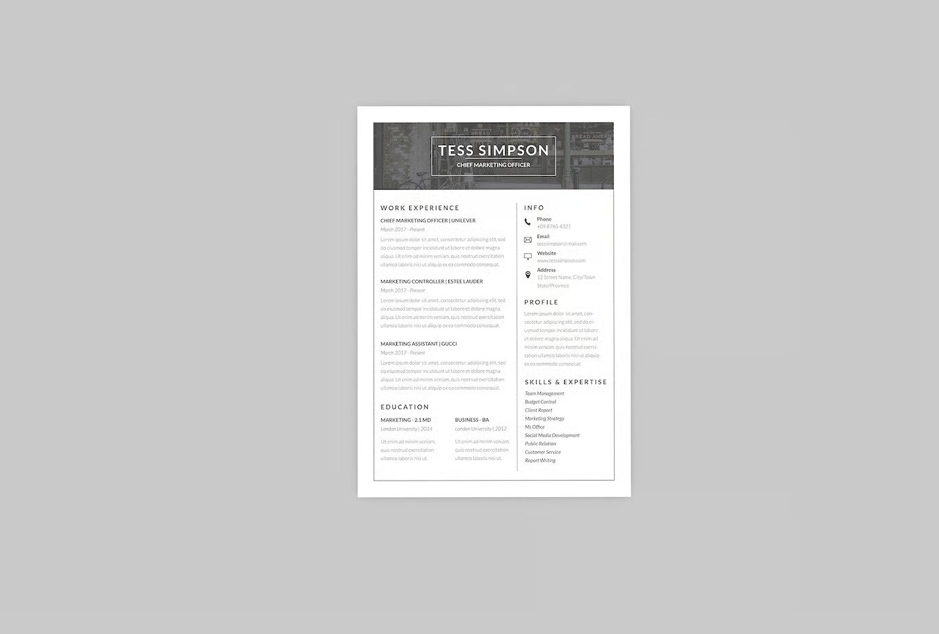 CV Power Resume Designer
