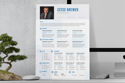 Resume / CV Template Pro