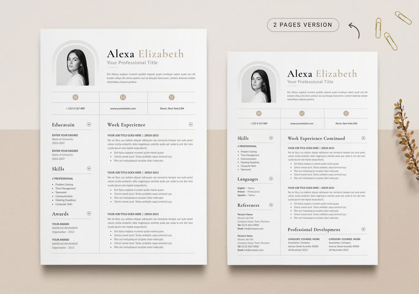 Clean Resume / CV