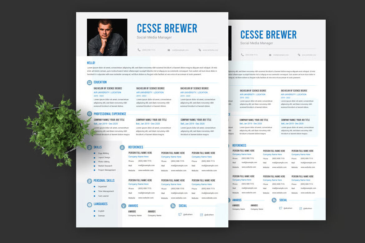 Resume / CV Template Pro