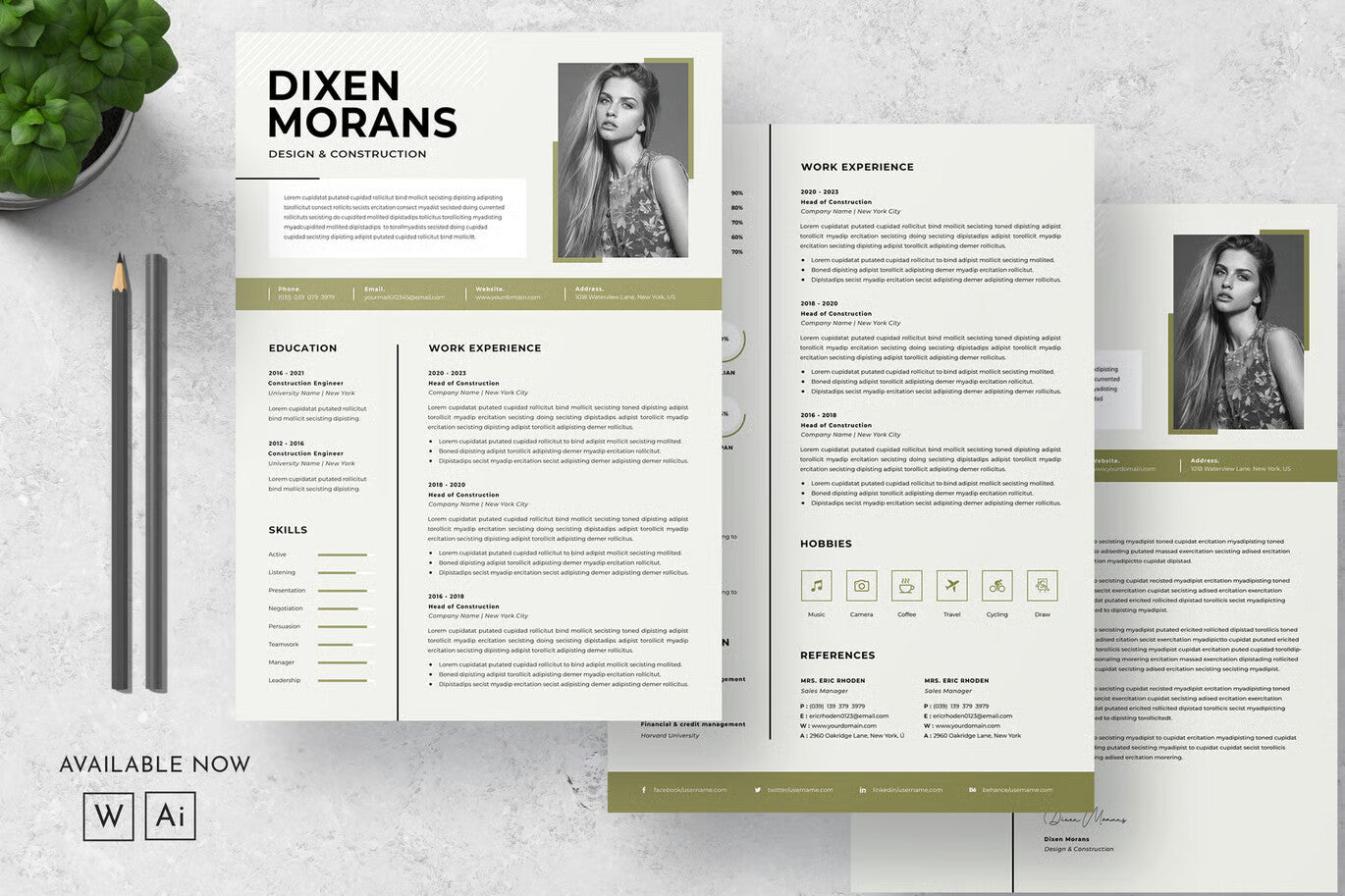 Clean CV Resume