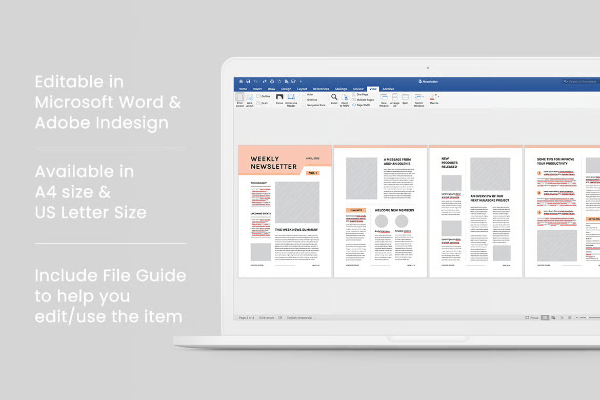Newsletter | MS Word & Indesign