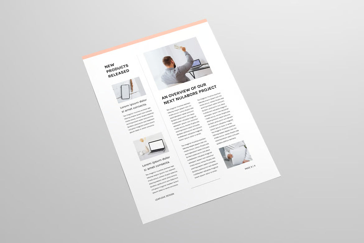 Newsletter | MS Word & Indesign