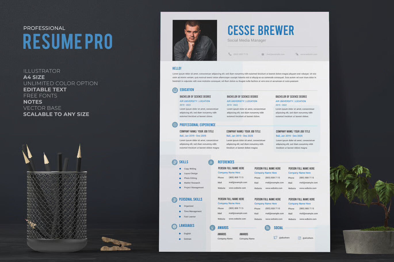 Resume / CV Template Pro