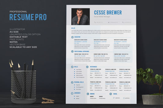 Resume / CV Template Pro