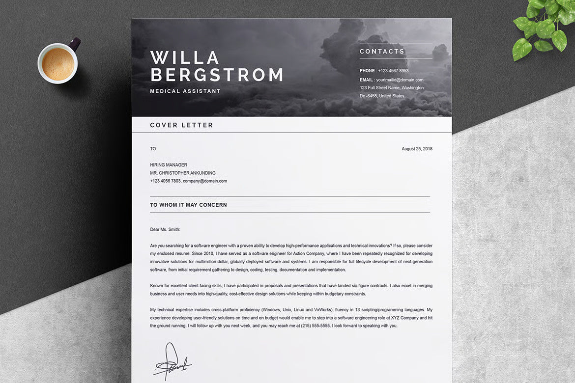 Elegant Professional Resume