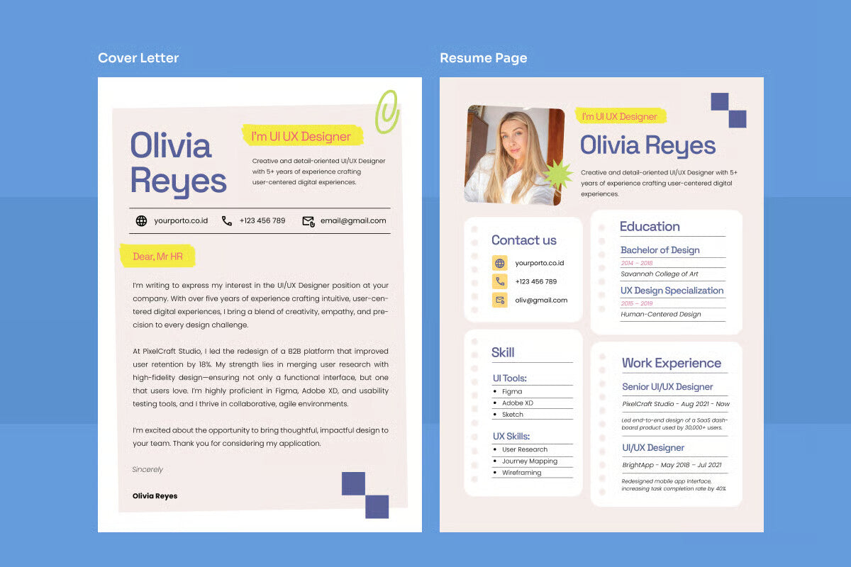 Professional Resume for Developers & Analysts